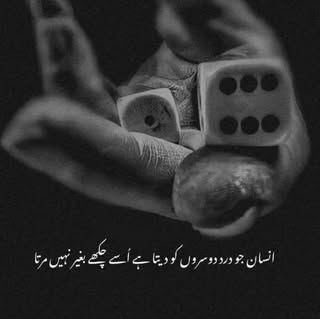 Syed Irfan Ali Rizvi 